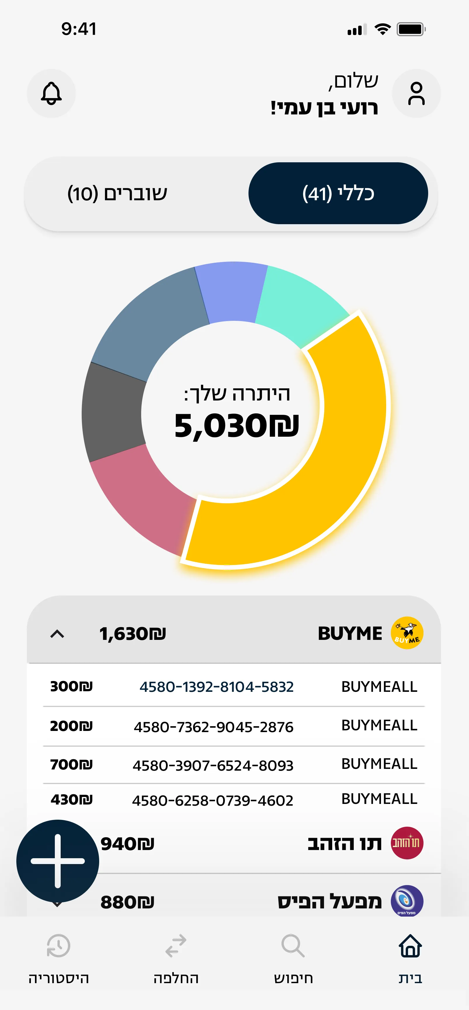 The finished home screen: the balance ring and the list of brands
